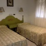 Hotel Arcojalon 2*